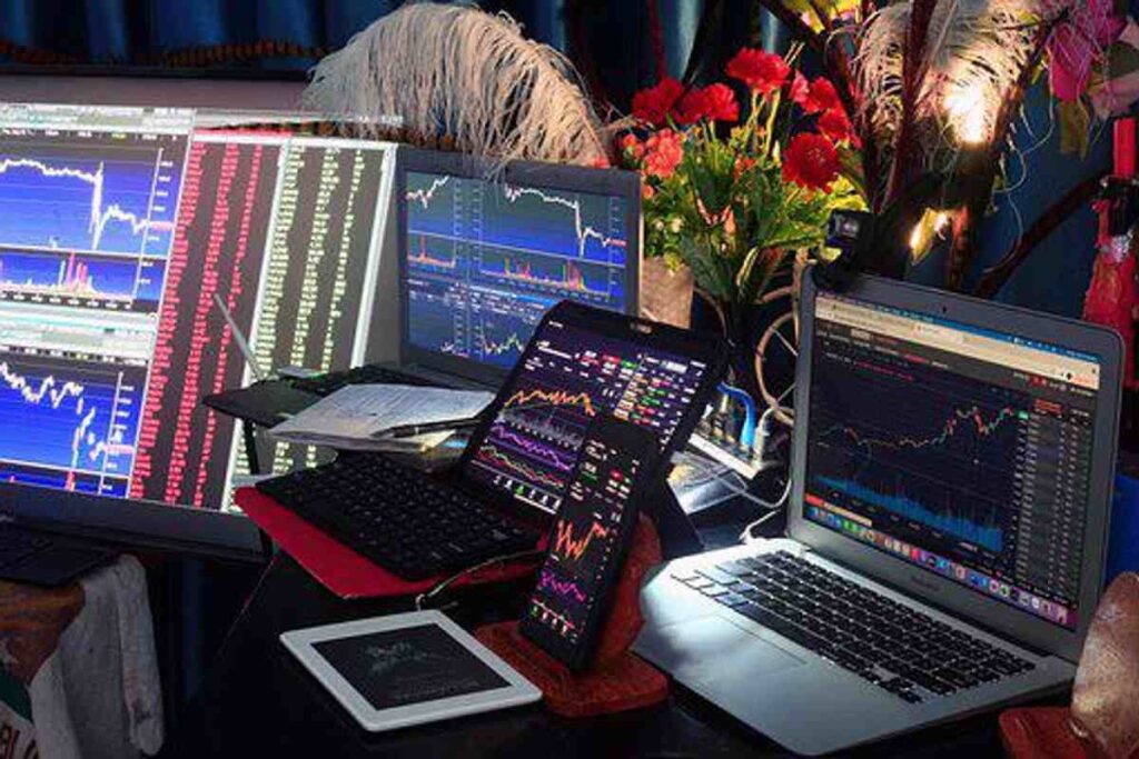 forex signals