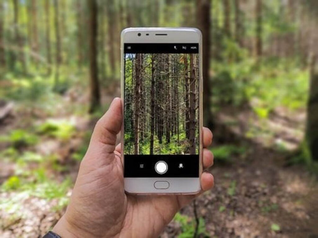 How To Use Google Lens In Oneplus 6t